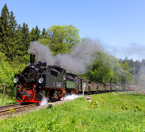 Dampfzug vor Wald